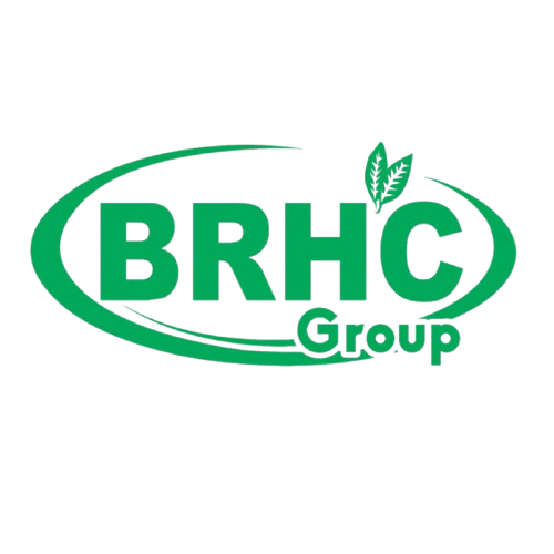 logo brhc removebg preview